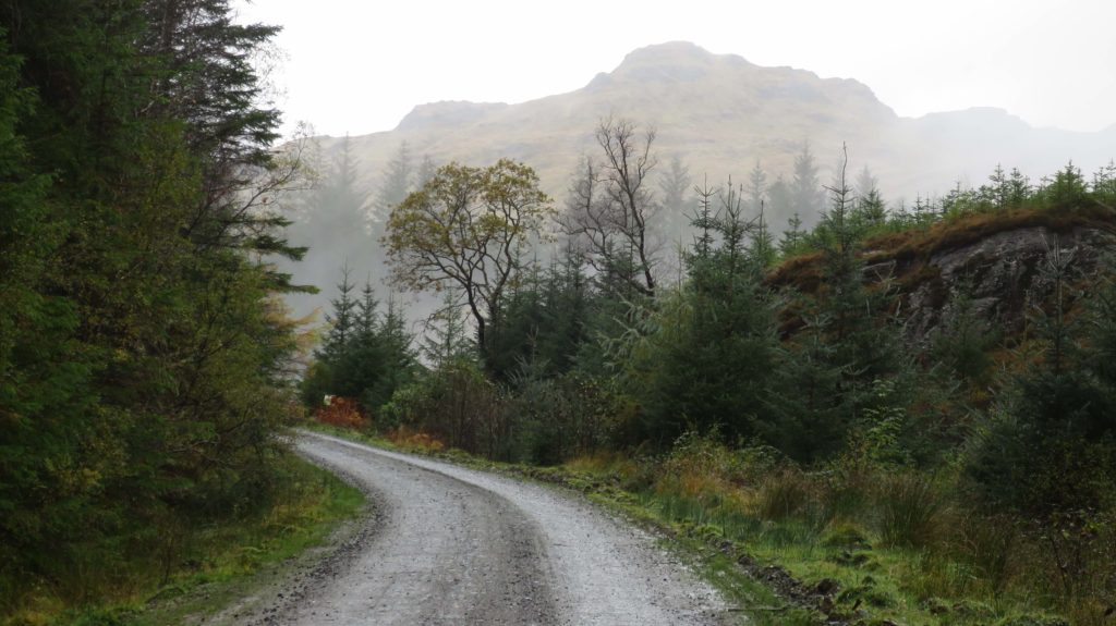 Wild About Argyll Trail