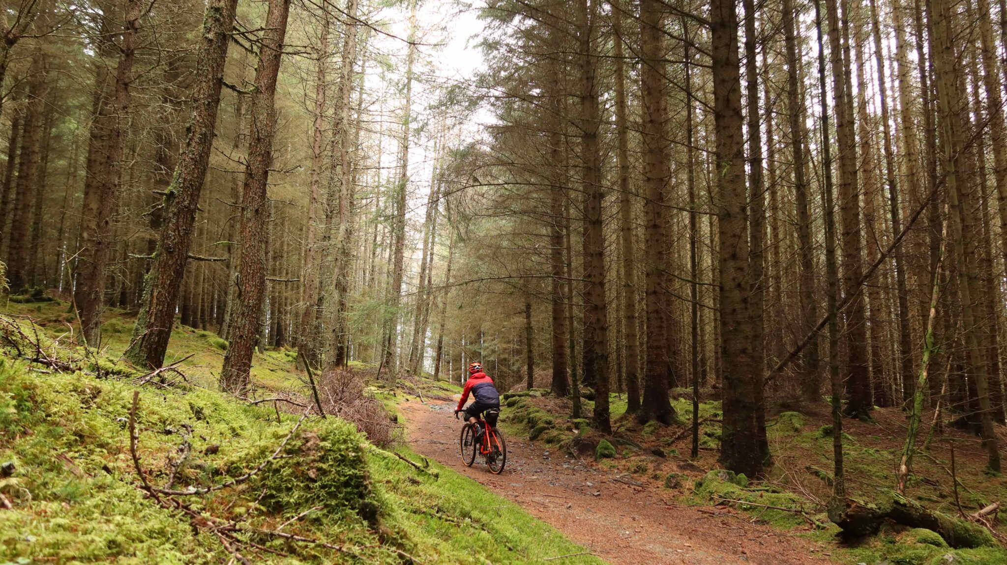 Cateran Ecomuseum Trails - Bikepacking Scotland